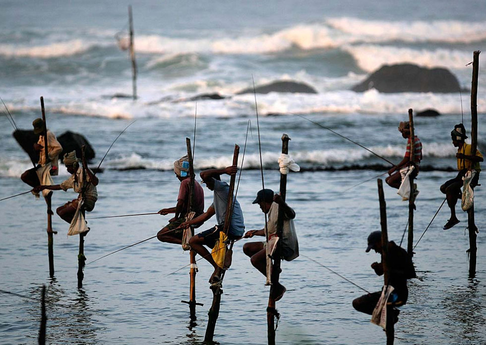 Шри ланка опасности. Велигама Шри Ланка рыбаки. Рыбаки на ходулях Шри Ланка. Рыболовство Шри Ланка. Рыбак на духодолях шли Ланк.